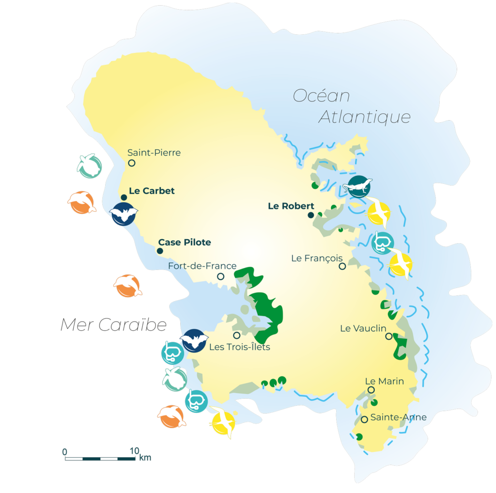 Map of the fauna and flora in Martinique