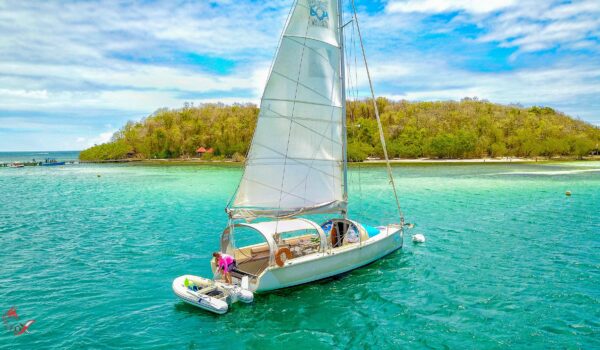 Voilier Dénébola en navigation à la Martinique