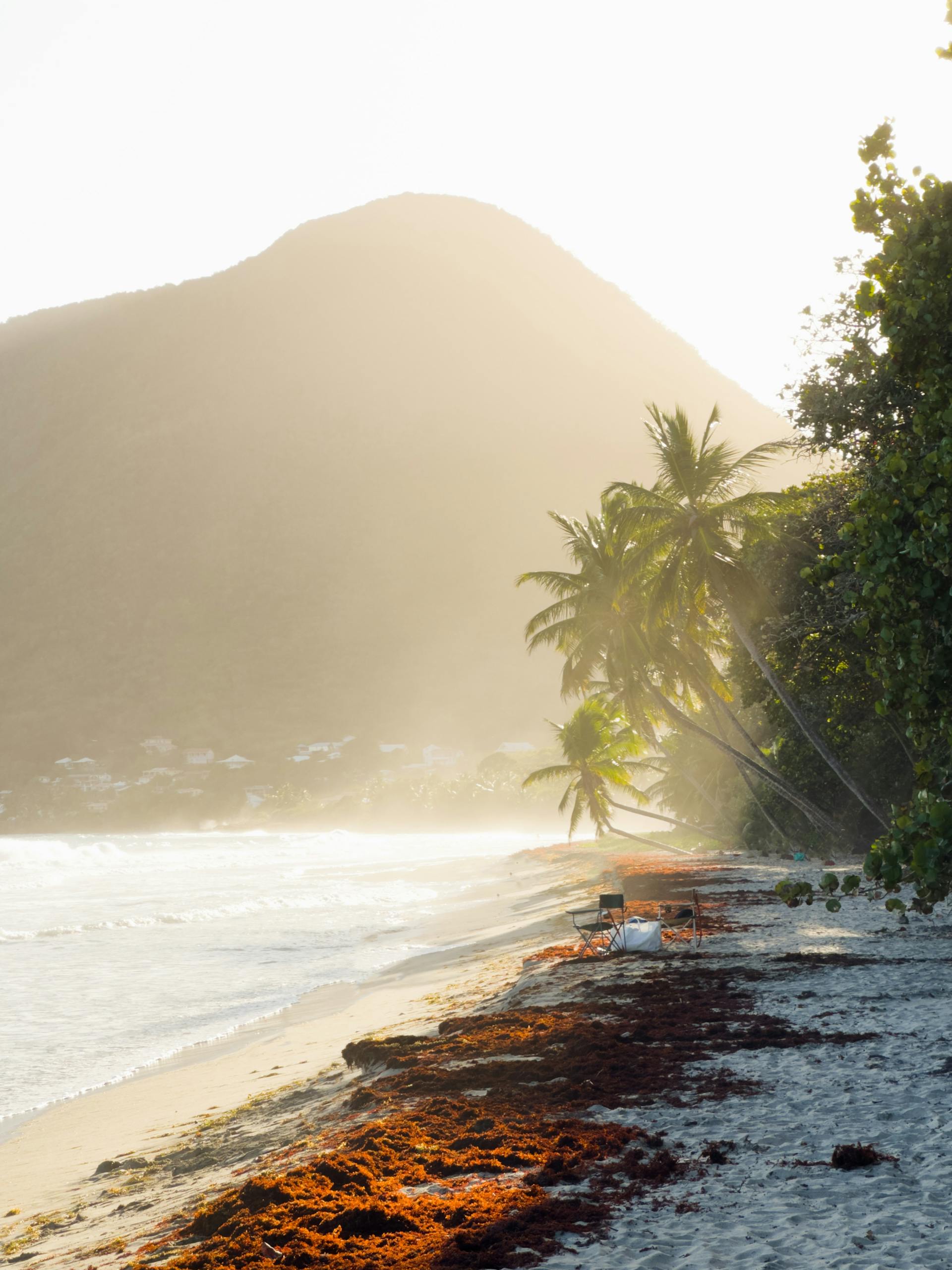 Breathtaking sunset on a sandy beach in Martinique, featuring palm trees and serene coastal scenery.