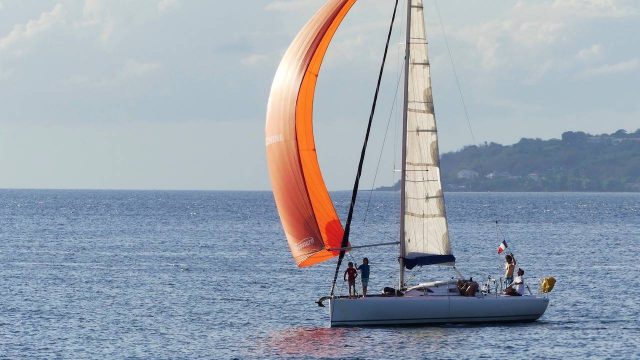 Voilier de Pogo Luciole en Martinique